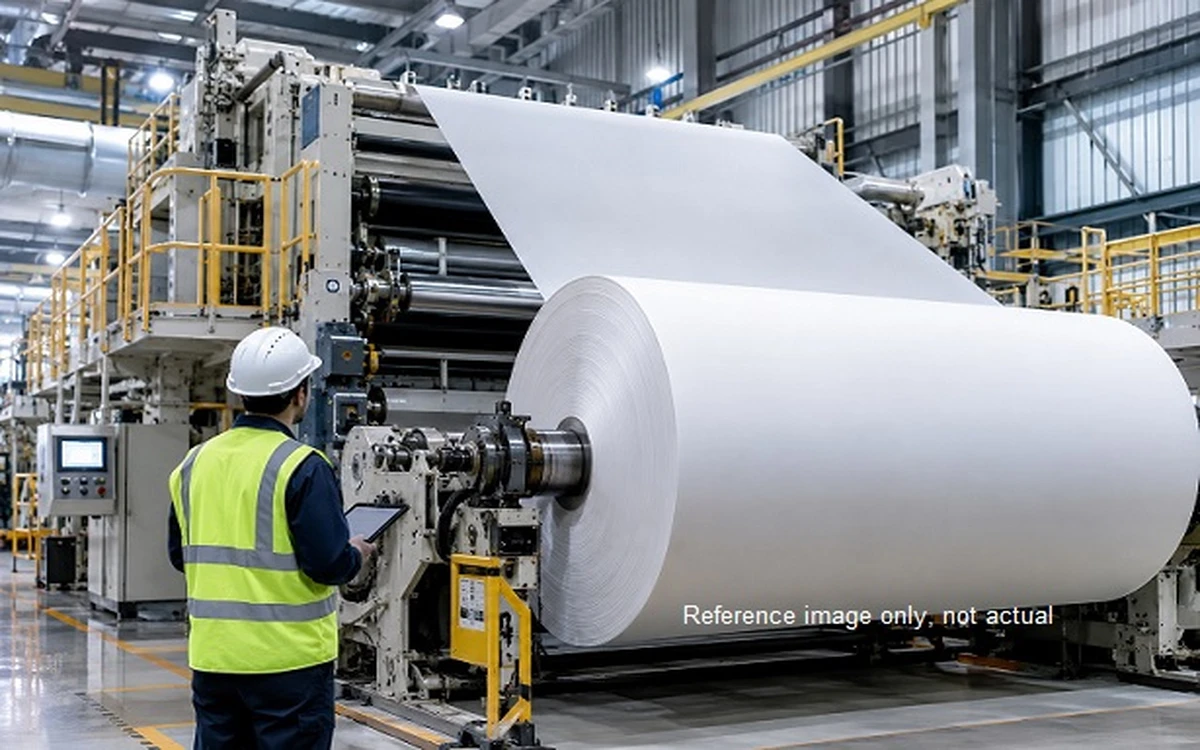Paper Mills